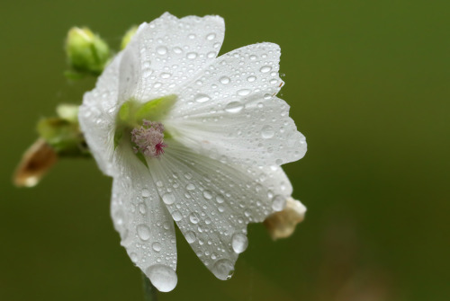 Rainy afternoon.