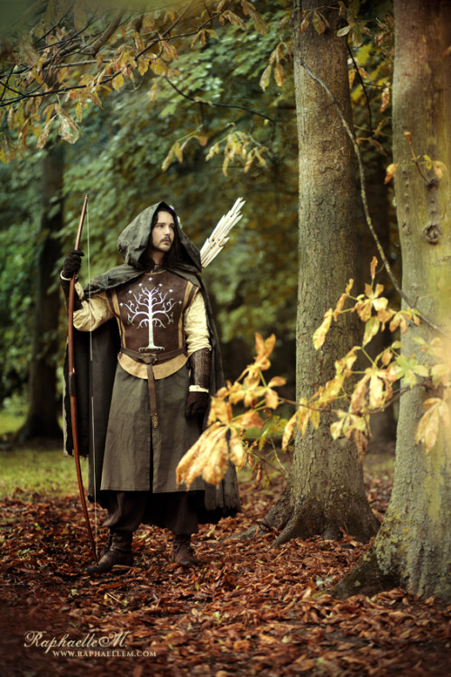 rivermusic:  bloodedcelt:  The Son of Gondor by RaphaelleM  Aaaaahhh Tolkien……