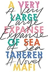 For Eid: A List Of Muslim Contemporary Novels