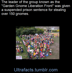 ultrafacts:    Garden gnome liberationists