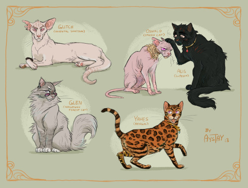 aystay:Arcane oc cats!!!! Featuring Glitch ( @notes28​ ), Oswald ( @fyurama​ ), Alis (mine), Glen ( 