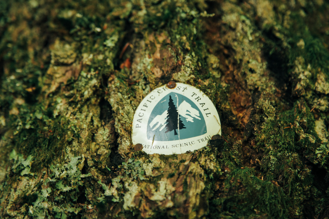 thenorthwestexplorer:  Location: Dry Creek - Cascade Locks, OR | Date: June 15th,