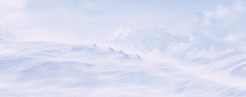 cinemagal - Snowpiercer (2013)Cinematography by Hong Gyeong-Pyo
