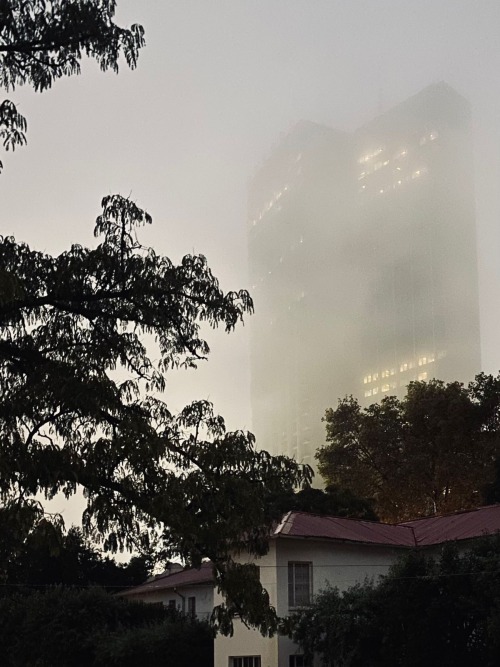 Building in the fog