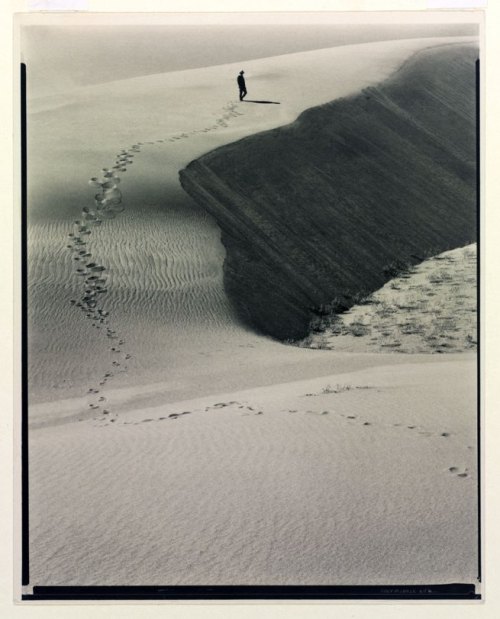Laura Gilpin, Footprints in the Sand, 1931Platinum printthanks to dear dear liquidnight and dear, de
