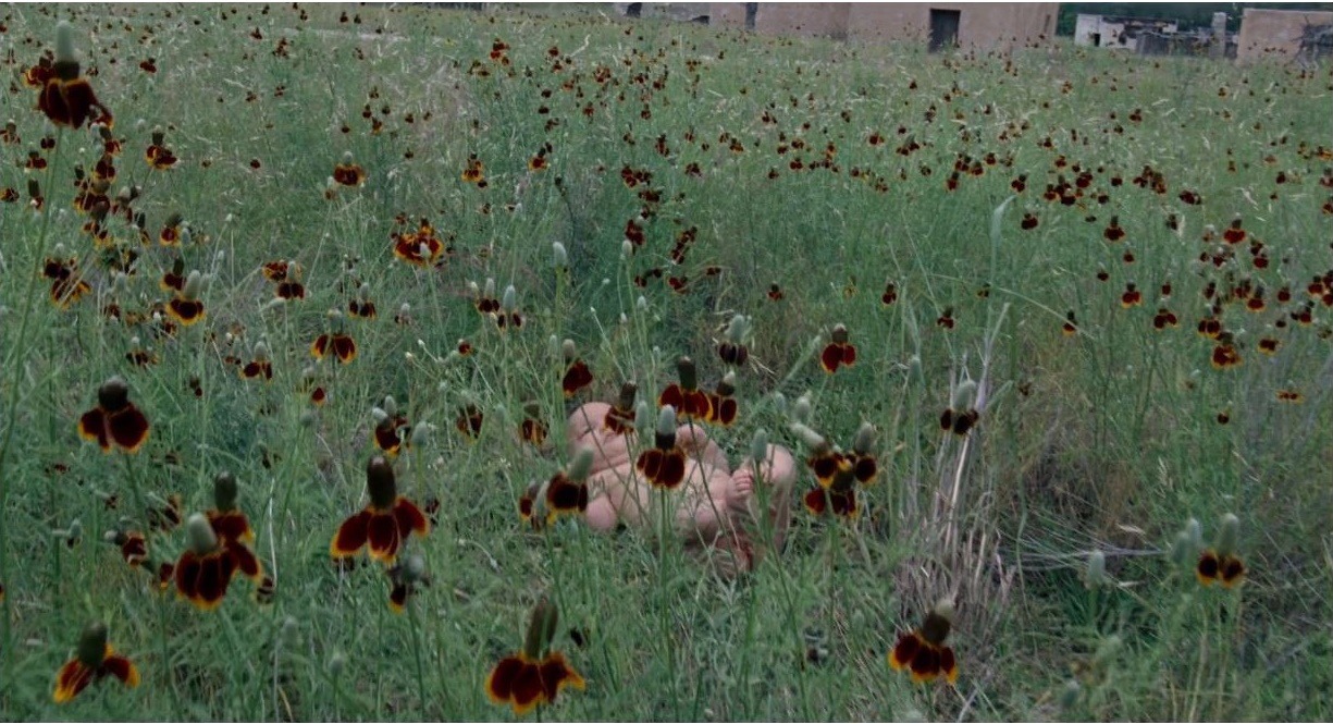 we-are-born-as-naked-infants:The Tree of Life (Extended Cut) - Terrence Malick [2018]