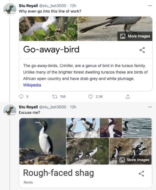 pterygota:thegunlady:  bird twitter is lighting adult photos