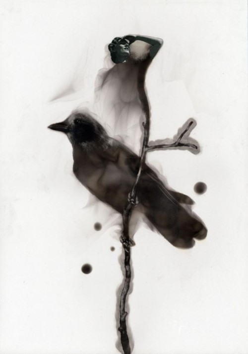 cosmonauteazhun: asylum-art-2: Fire Paintings Draws With Flames And Soot  by Steven Spazuk More