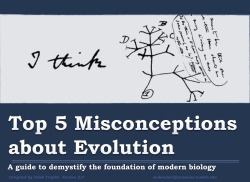 Jtotheizzoe:  Molecularlifesciences:  Top 5 Misconceptions About Evolution: A Guide