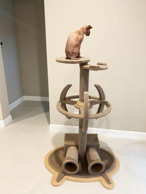 70thousandlightyearsfromhome:What every fan needs…A Star Trek cat tree!Custom made cat tree for all 