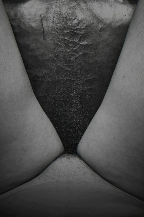 thegreatinthesmall:  Luis Gispert. Leather, 2017  