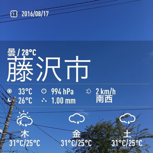 おはようございます。台風一過。