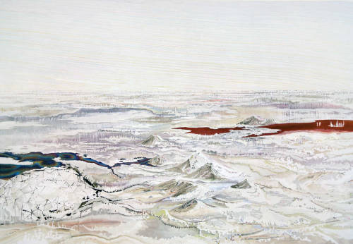 cerceos:  Leslie Shows - Salt Field with Attributes, 2005 
