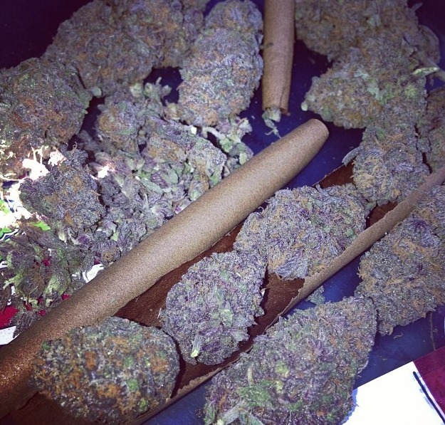 smokingsince1876:  fuego! purple alien 