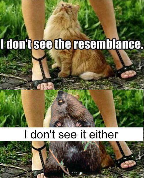 Lmfao!