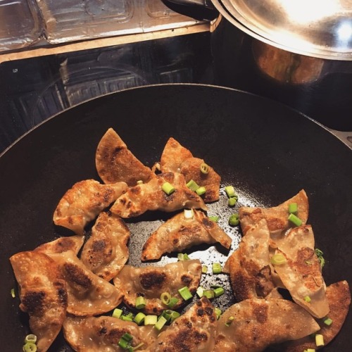 Pan fried dumplings for dins last night - one of my favourite meals EVER!!!!!! Thanks for spoiling m