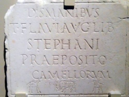 Roman tombstone: To the spirits of the dead. For Titus Flavius Stephanus, imperial freedman, oversee