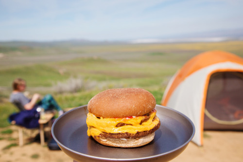 Camping in Carrizo Plain National Monument