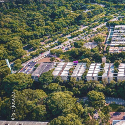 Parece um lugar abandonado tomado pela vegetação, mas não, é só a @usp.oficial São Paulo.#saopaulo 