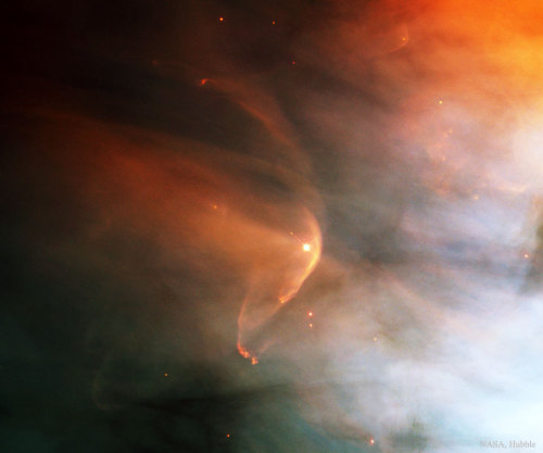 Variable Star LL Orionis
