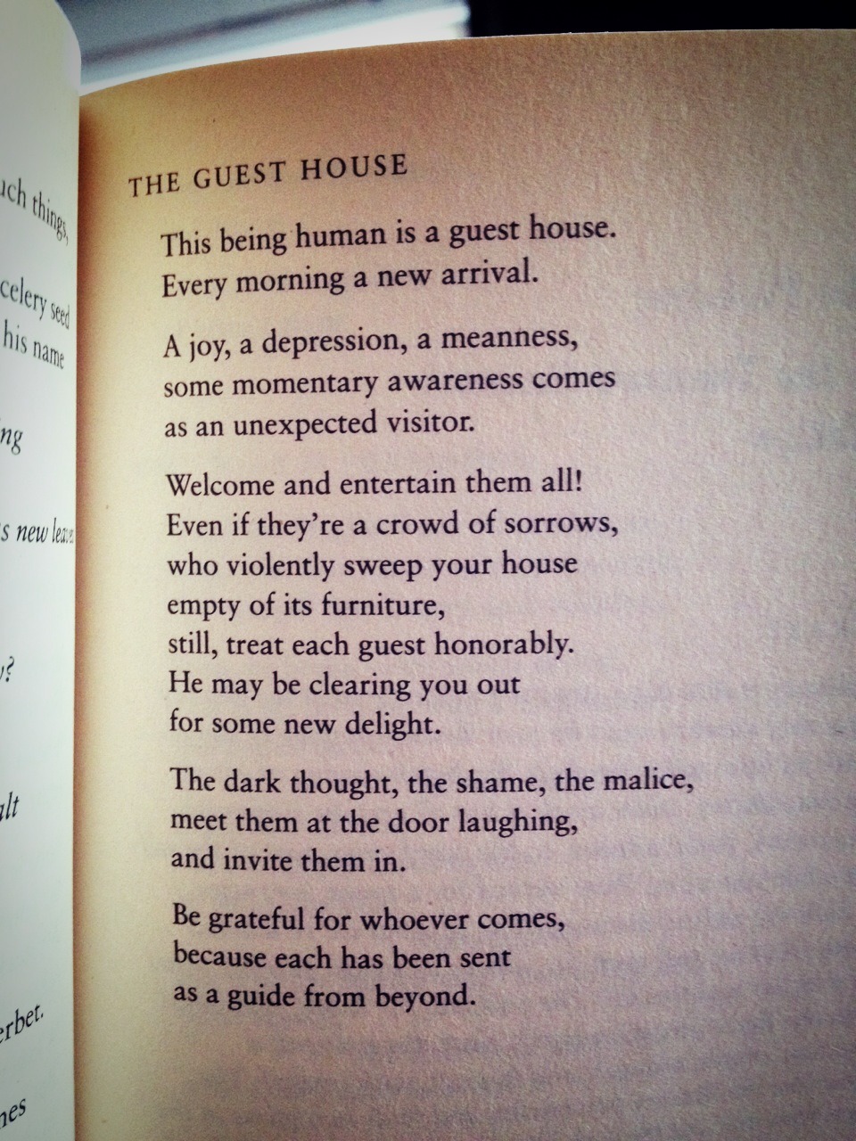 sixpenceee:  A few poems by Rumi that really spoke to me. He was a Persian poet and