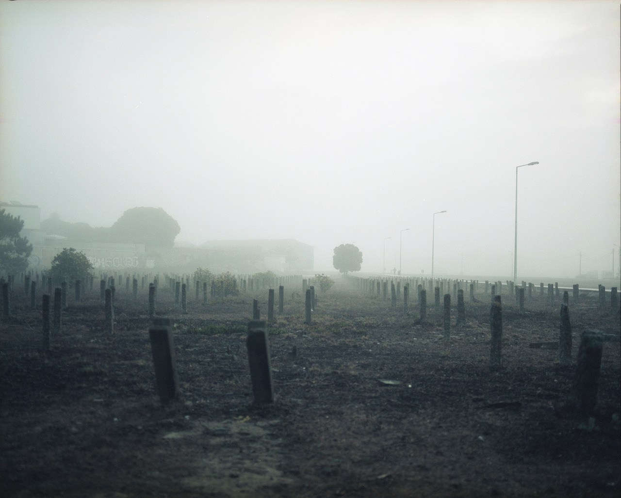 eyescapemagazine:    INES MARINHO My grandfather João died in January 1989 and I