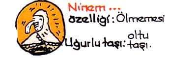 Ninem .. özelligi:Ölmemesi...