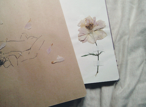 orchidetelm: 2014/5/11 morning doodle x