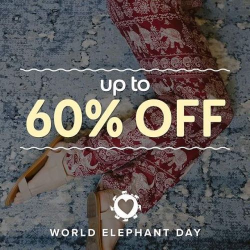 ITS WORLD ELEPHANT DAY  And the Elephant Pants is having a huge sale use link in my bio! And ELISABE