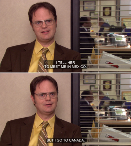 Sex dwight-schrutes:  a criminal masterind pictures