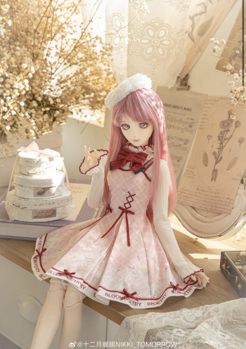 Nikki BJD From Lottery