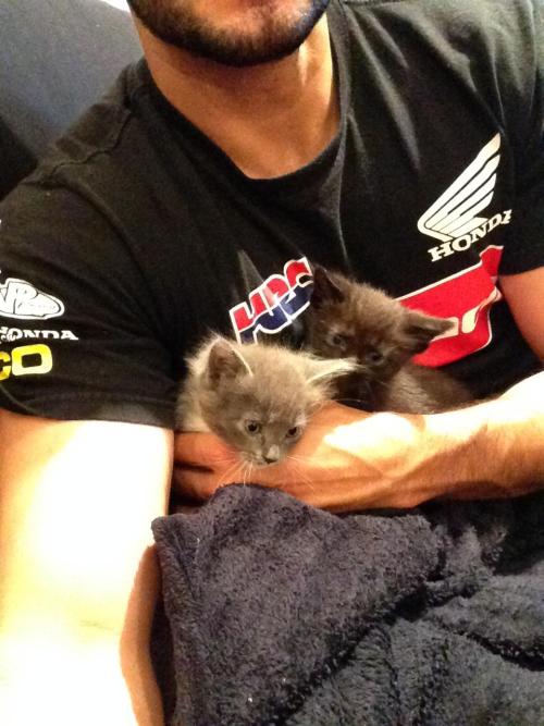 catsamazing:  I couldn’t wait for the weekend to meet my cousin’s kittens, they’re so fluffy and cute 