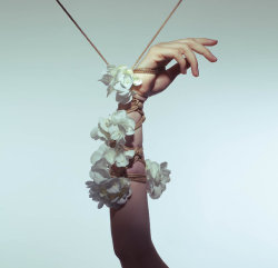 artfulshibari: A Tender Dissolution - Hand