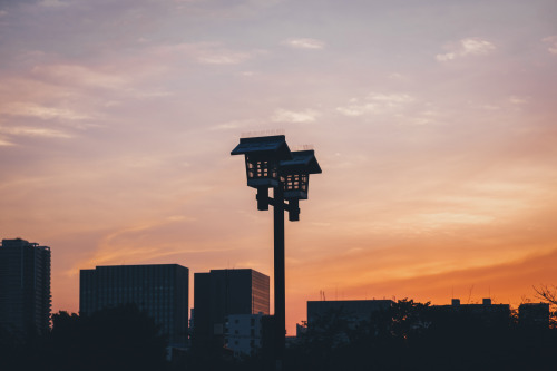 takashiyasui: Everyday life in Tokyo