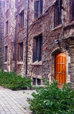 latorontonian:  I was hurrying towards class when I passed this. &ldquo;Holy fuck, that’s a beautiful door&rdquo; was my immediate thought. Despite the urgency to get to class on time, I whipped out my camera. It’s a gorgeous door! And the ivy covered