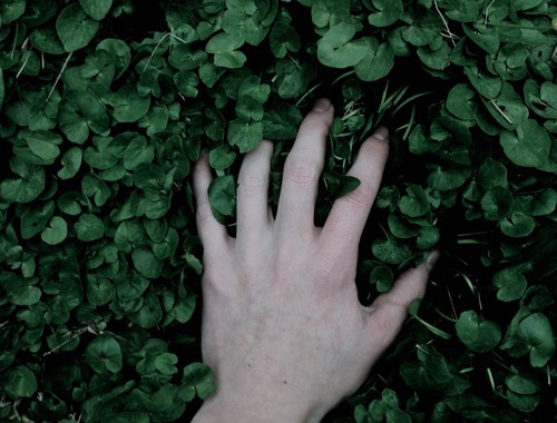 lithiumaddict:  Standing, at the edge of your forest, I’m standing. 