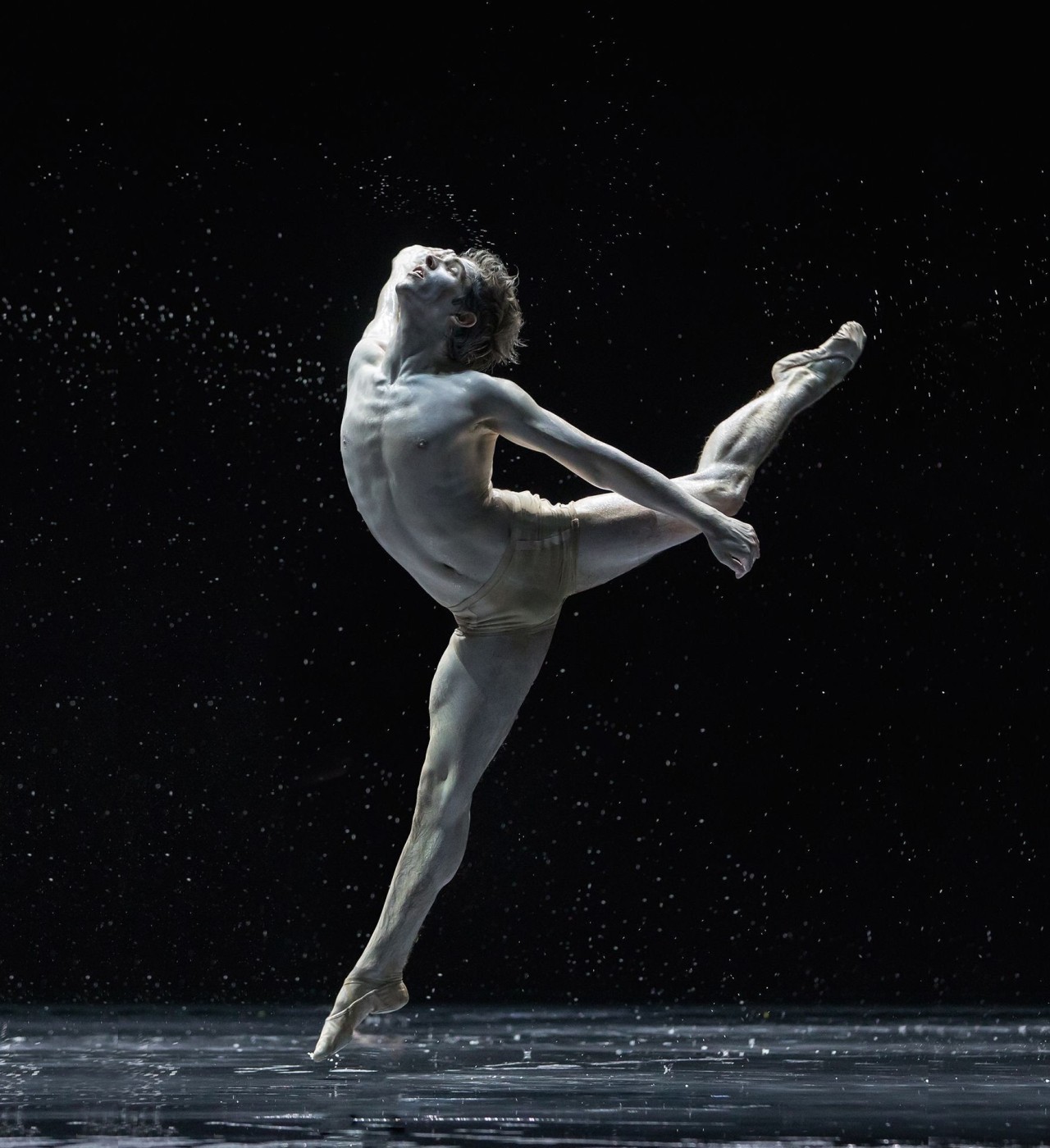 olivier37:  Petruschka - Le sacre du printemps - Ballet de Zurich - Photo Gregory