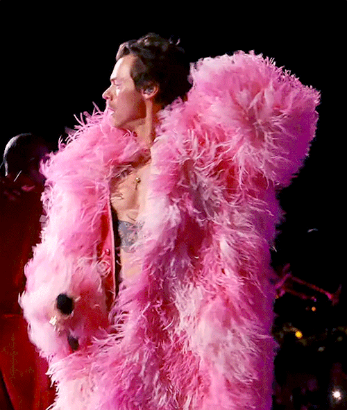 Harry Styles | Coachella 2022