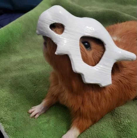 retrogamingblog:3D Printed Cubone Pet Masks made by Dream3dPrinting