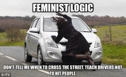 wtfantisjws:  fandomsandfeminism:  political-dissonance:  This is liberal logic in general #NailedIt #Feminism  But…we DO teach drivers not to hit people?              And if someone intentionally hits someone else with their car, we would never argue