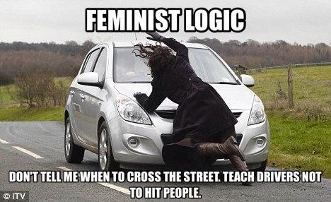 fandomsandfeminism:political-dissonance:This is liberal logic in general #NailedIt #FeminismBut…we D