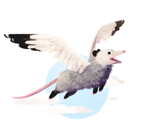 terpsikeraunos:saracastically:one of my favourite commissions to date: a combination oppossum/seagul