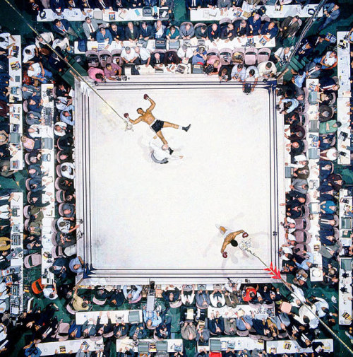 Muhammad Ali knocks out Cleveland Williams at the Astrodome, Houston, 1966 - Neil Leifer
