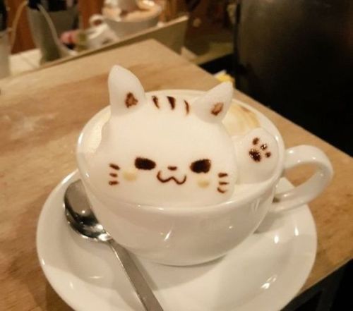 daily–cats:  This is my type of coffee ♡