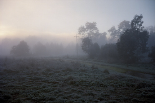 foxmouth:Tumut Wetlands, 2016 | by Jamie Hladky