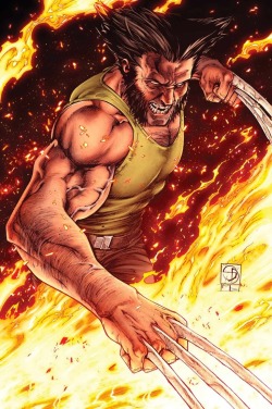 comicbookartwork:  Wolverine