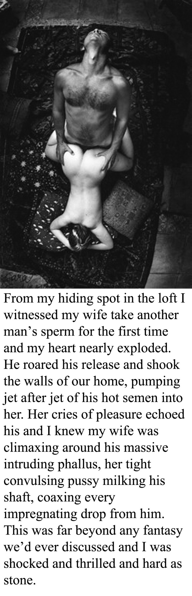 myeroticbunny:  From my hiding spot in the loft I witnessed my wife take another