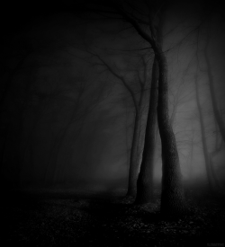 slobbering: Concealed by fog and the Darkness