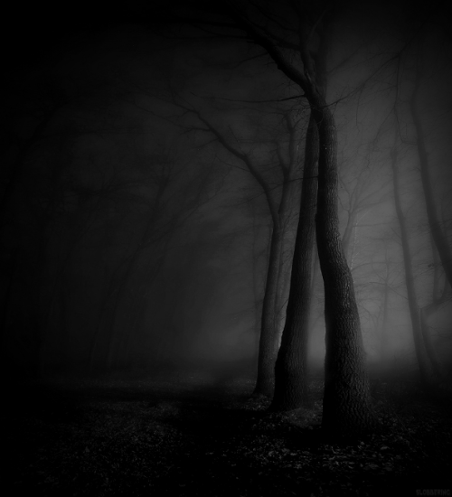 Porn slobbering: Concealed by fog and the Darkness photos