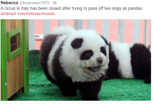 I’d rather see the panda chows